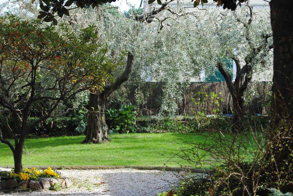 Casa Simonetti Bed and Breakfast Torre del Lago Puccini Buitenkant foto